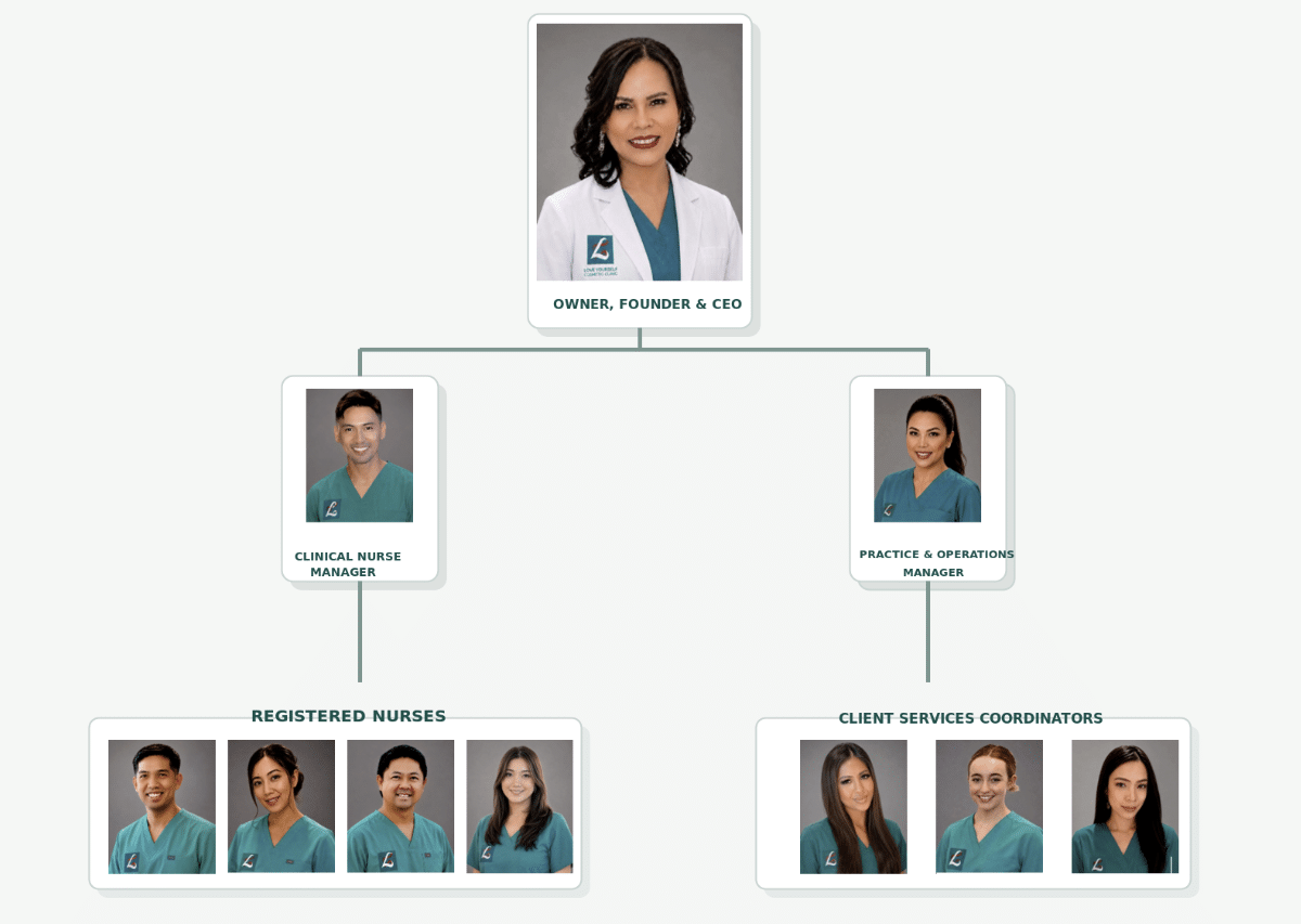 organisational chart